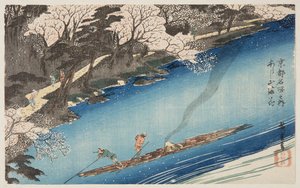 Kirsikankukat täydessä kukassa Arashiyamassa (Arashiyama manka) (värillinen puupainatus) tekijältä Ando or Utagawa Hiroshige