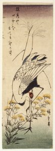 Crane with Wild Sinappi (värillinen puupainatus) tekijältä Ando or Utagawa Hiroshige