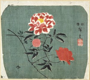 Viuhkakuvio: ruusu tekijältä Ando or Utagawa Hiroshige