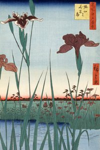 Utagawa Hiroshigen Horikiri Iris tekijältä Ando or Utagawa Hiroshige