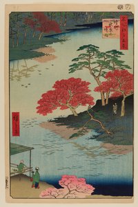 Akiban pyhäkkö, Ukeji tekijältä Ando or Utagawa Hiroshige