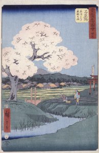 Ishi Yakushi tekijältä Ando or Utagawa Hiroshige
