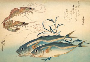 Japanilainen piikkimakrilli ja japanilainen tiikerikatkarapu (värillinen puupainatus) tekijältä Ando or Utagawa Hiroshige