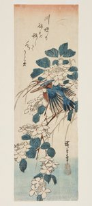 Kingfisher ja Viburnum (värillinen puupalikkaprintti) tekijältä Ando or Utagawa Hiroshige