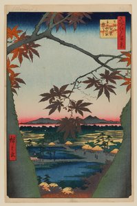 Vaahterapuut Mama, Tekona Shrine ja linkitetty silta tekijältä Ando or Utagawa Hiroshige