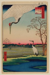 Minowa, Kanasugi, Mikawashima. tekijältä Ando or Utagawa Hiroshige