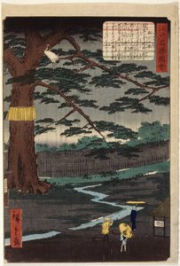 Miyuki Pine (värillinen puupainatus) tekijältä Ando or Utagawa Hiroshige