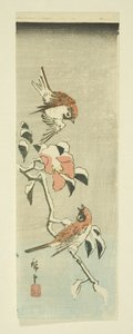 Sparrows and Camellia in Snow (värillinen puupalikkaprintti) tekijältä Ando or Utagawa Hiroshige