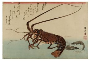 Kevythummeri ja pienet katkaravut tekijältä Ando or Utagawa Hiroshige