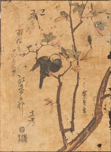 Tutkimus linnusta, joka nukkuu oksalla tekijältä Ando or Utagawa Hiroshige