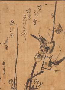 Tutkimus linnusta kyydissä oksalla tekijältä Ando or Utagawa Hiroshige
