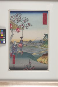 Teehuone, josta on näkymä Fuji-vuorelle Z?shigayassa (Z?shigaya Fujimi Chaya) (värillinen puupainatus) tekijältä Ando or Utagawa Hiroshige