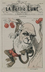 Darwin apinana La Petite Lune -elokuvassa tekijältä Andre Gill