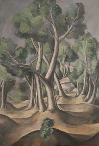 Grove tekijältä Andre Derain