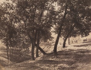 Trees,c. 1855 (kuva)