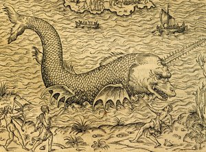 Merihirviö, kaiverrus Universal Cosmologysta, Andre Thevet (1504-1592), Pariisi tekijältä Andre Thevet
