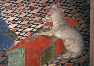 Atri, Dom, Katze / A.Delitio tekijältä Andrea Delitio
