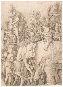 Norsuja kantamassa taskulamppuja tekijältä Andrea Mantegna