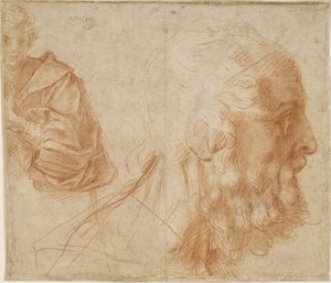 Nuorukainen ja vanhan miehen Homeroksen pää. Tutkimus, noin 1521 tekijältä Andrea del Sarto