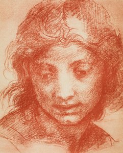 Pojat Head tekijältä Andrea del Sarto
