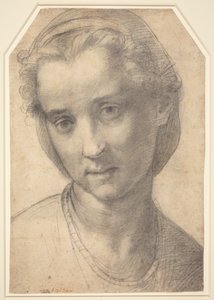 Naisen pää tekijältä Andrea del Sarto