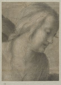 Marian pää palvonnassa tekijältä Andrea del Sarto