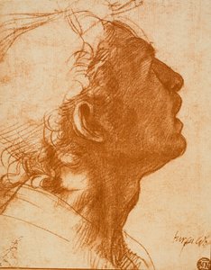 Mies pää tekijältä Andrea del Sarto
