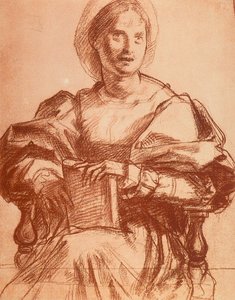 Lucrezia del Feden muotokuva tekijältä Andrea del Sarto