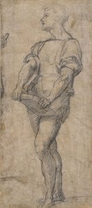 Pysyvä nuori kirja kädessään, n. 1515 tekijältä Andrea del Sarto