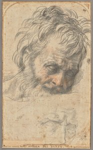 Pyhän Joosefin pään luonnos (etusivu); kaksi jalkojen luonnosta (kääntöpuoli). tekijältä Andrea del Sarto