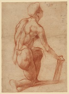 Tutkielma polvistuvasta hahmosta ja kasvoluonnos (etupuoli); hahmotutkielma ja kasvot (kääntöpuoli) tekijältä Andrea del Sarto