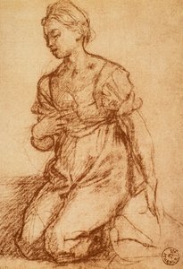 Naisen tutkimus; piirustus Andrea del Sarto. Piirustus- ja grafiikkakaappi, Uffizi-galleria, Firenze tekijältä Andrea del Sarto