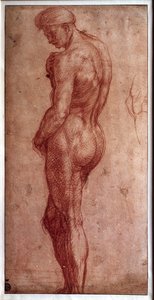Tutkimus miesalastosta Andrea d