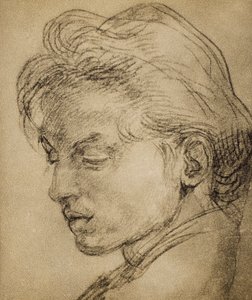 Vireä pää profiilissa tekijältä Andrea del Sarto