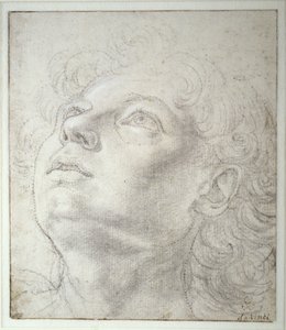 Enkelin pää tekijältä Andrea del Verrocchio