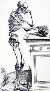 Ihmisen luuranko kallo kädessään. Vesaliuksen "De Humani Corporis Fabricasta". Mahdollinen puunleikkuri: Jan von Calcar