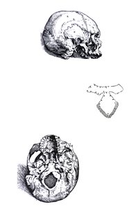 De Humani Corporis Fabrica -teoksen ensimmäisen kirjan laatat tekijältä Andreas Vesalius