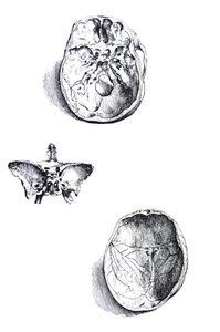 De Humani Corporis Fabrica -teoksen ensimmäisen kirjan laatat tekijältä Andreas Vesalius