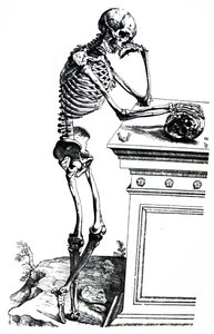 De Humani Corporis Fabrica -teoksen seitsemännen kirjan laatat. tekijältä Andreas Vesalius