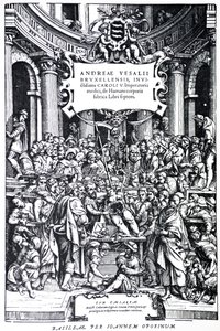 De Humani Corporis Fabrican toisen painoksen nimilehti, levy 3, 1555 tekijältä Andreas Vesalius