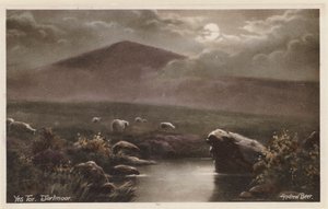 Yes Tor, Dartmoor (värikuva)