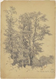 Oaks, Wolf Hill, Ulsterin piirikunta