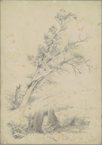 Puut, Hudson