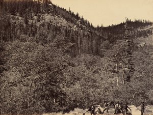 Lautanen 19. Puutavaran seassa Little Laramie -joen yläosassa, 1869 (kuva). tekijältä Andrew Joseph Russell