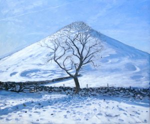 Hill and Tree, Derbyshire, 2008 tekijältä Andrew Macara