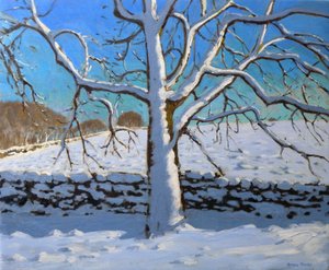 Snow Covered Tree, 2011 (öljy kankaalle) tekijältä Andrew Macara