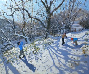 Lumipallotaistelu, 2007 tekijältä Andrew Macara