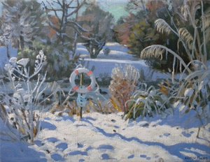  tekijältä Andrew Macara
