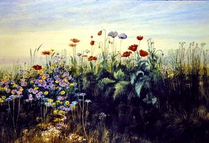 Wild Flowers (akvarelli paperille)