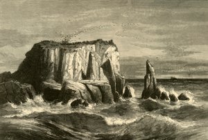 Coast Scene, Marin County, 1872. tekijältä Andrew Varick Stout Anthony